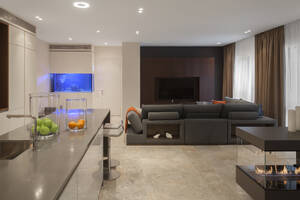 Flat S in Moscow/RUS