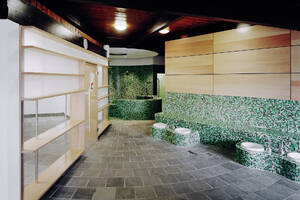 Rebstock Baths in Frankfurt/GER